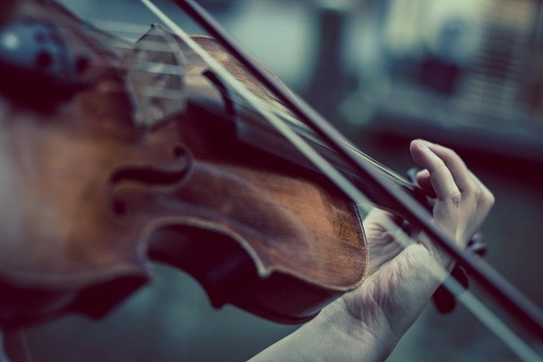 Parchi della musica: nuova edizione con tre eventi nell'Unione> Parchi della musica: nuova edizione con tre eventi nell'Unione